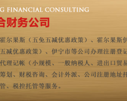 霍爾果斯商服顧問的財務咨詢 助力企業跨境發展