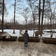 安圖長白山雪絨花馴鹿園游玩-長白山雪絨花馴鹿園門票多少錢/價(jià)格表-團(tuán)購票價(jià)預(yù)定優(yōu)惠-景點(diǎn)地址在哪里/圖片介紹/參觀預(yù)約/旅游游覽順序及注意事項(xiàng)/營業(yè)時(shí)間-】