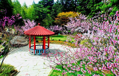 廬山室外景點(diǎn)恢復(fù)開放 南 北門或交通索道可進(jìn)山 還有這些注意事項(xiàng)