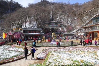 欒川縣踏青賞花游持續(xù)火爆 清明假期共計(jì)接待游客15.8萬人次