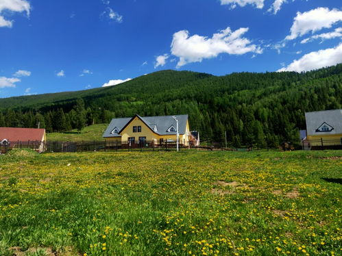 喀納斯有哪些游覽景點(diǎn) 喀納斯怎么游玩及線路