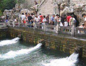 助力保泉 濟(jì)南5個(gè)滲漏區(qū)明年將修復(fù)