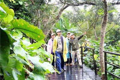 &ldquo;國(guó)研&middot;斯坦福&rdquo;師生走進(jìn)呀諾達(dá),領(lǐng)略雨林魅力